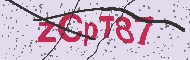 Captcha認証コード